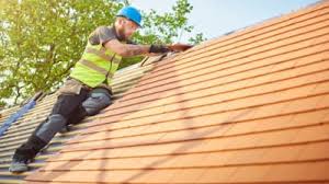 Professional Roofing Service in Tice, FL