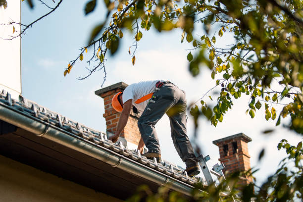 Cold Roofs in Tice, FL