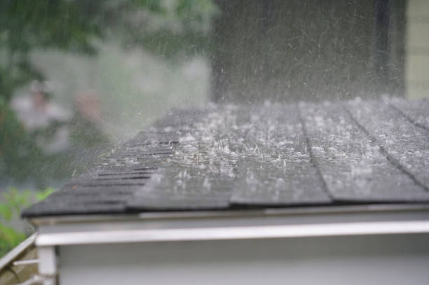 Asphalt Shingles Roofing in Tice, FL
