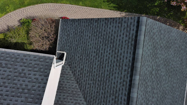 Best Roof Coating and Sealing  in Tice, FL