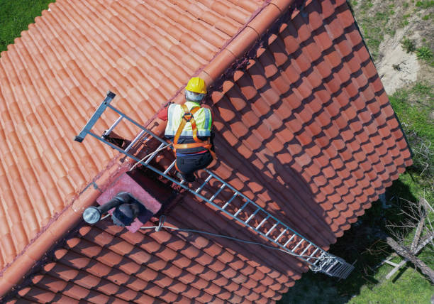 Best Hot Roofs  in Tice, FL